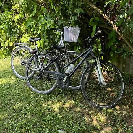Danube With Swimming Pool *