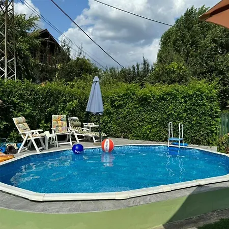 Danube With Swimming Pool Villa Novi Sad