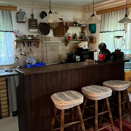 Villa Danube With Swimming Pool Novi Sad