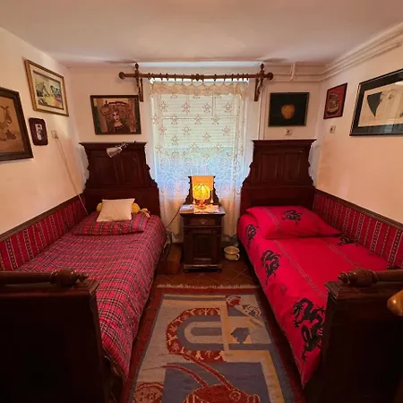 Villa Danube With Swimming Pool