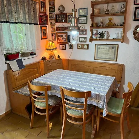 Danube With Swimming Pool Villa Novi Sad