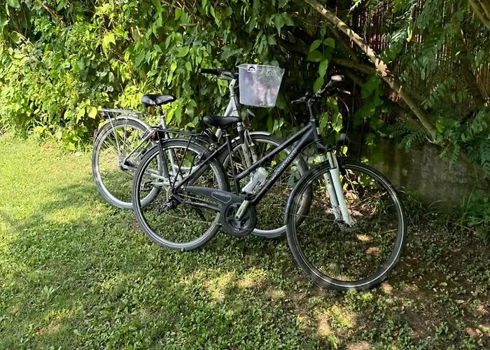 Danube With Swimming Pool *