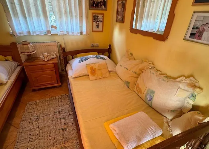 Danube With Swimming Pool 别墅 *