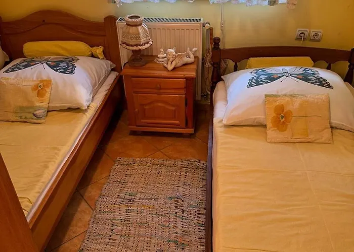 Danube With Swimming Pool 别墅 *